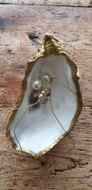 Ringenschaaltje 1 GG