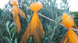Slingertje in meerdere kleuren