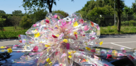 Autocadeaustrik in  'FOLIE met BLOEMEN'