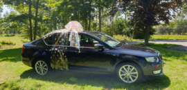 Autocadeaustrik in  'FOLIE met BLOEMEN'