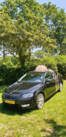Autocadeaustrik in  'FOLIE met BLOEMEN'
