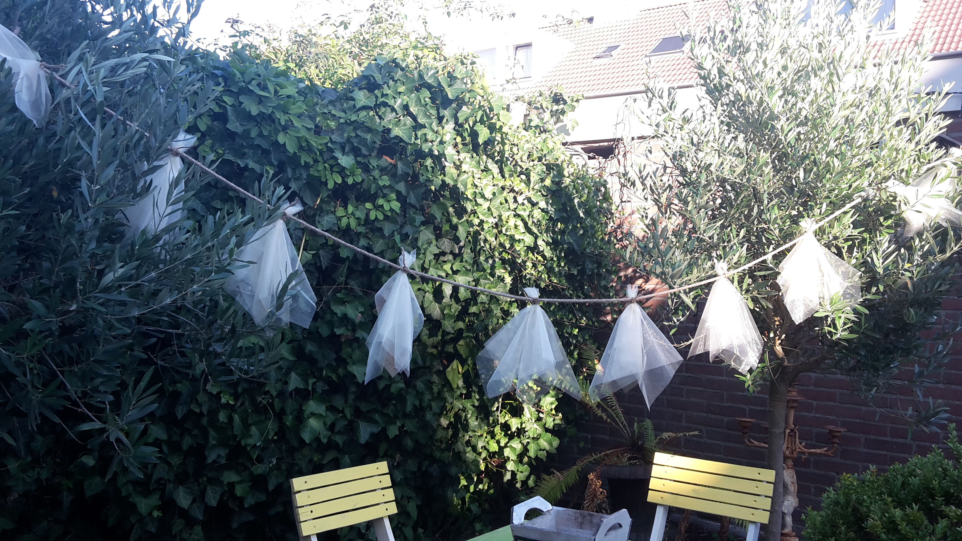 Slingertje in meerdere kleuren