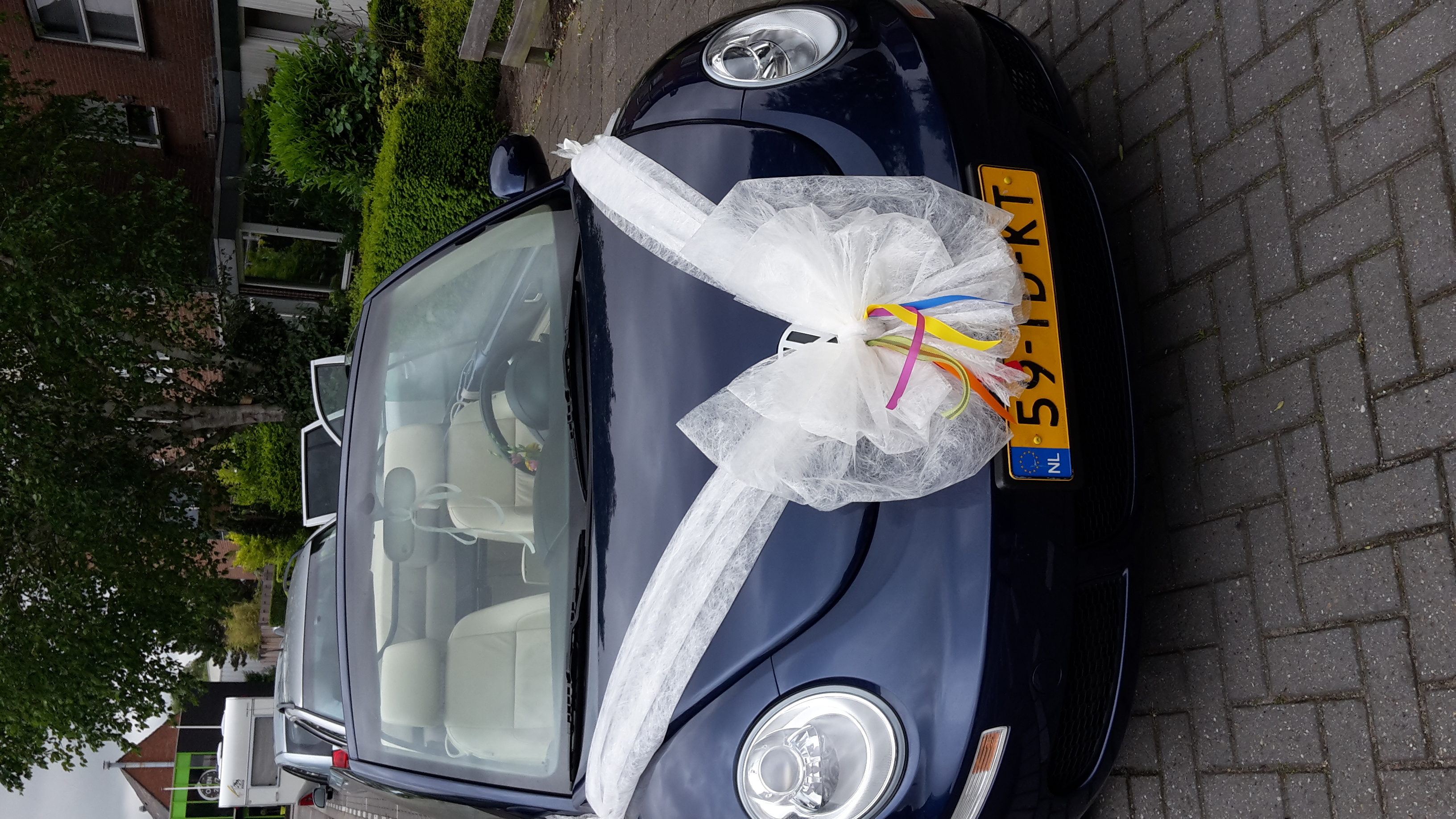 Autocadeaustrik van 'FIBER' in diverse kleuren