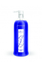 Bleuberry Mask - 250 ML