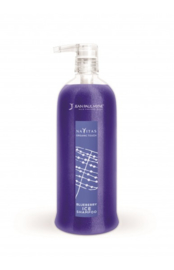 BLEUBERRY ICE SHAMPOO - 250ML