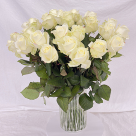 Witte rozen