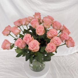 Roze rozen