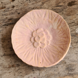 Roze schoteltje