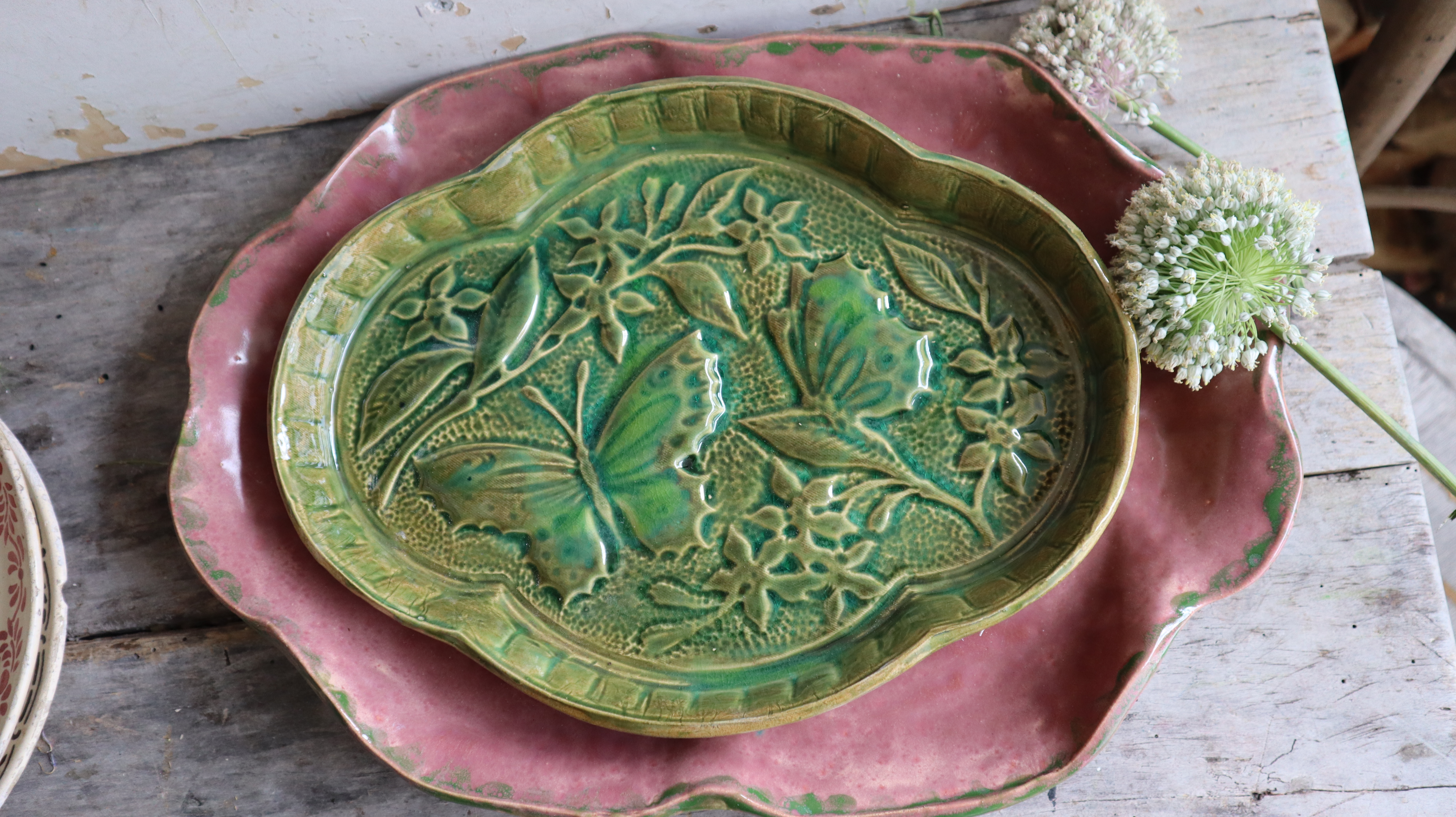 Prachtige groene schaal