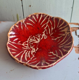 Rood schaaltje
