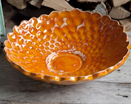 Prachtige oranje schaal
