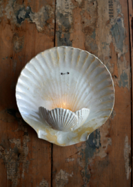 Waxinelichthouder "schelp"