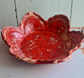 Rood schaaltje