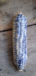 maïskolf blauw