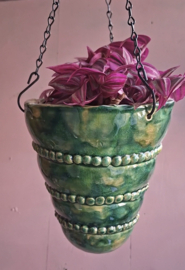 Groene plantenhanger