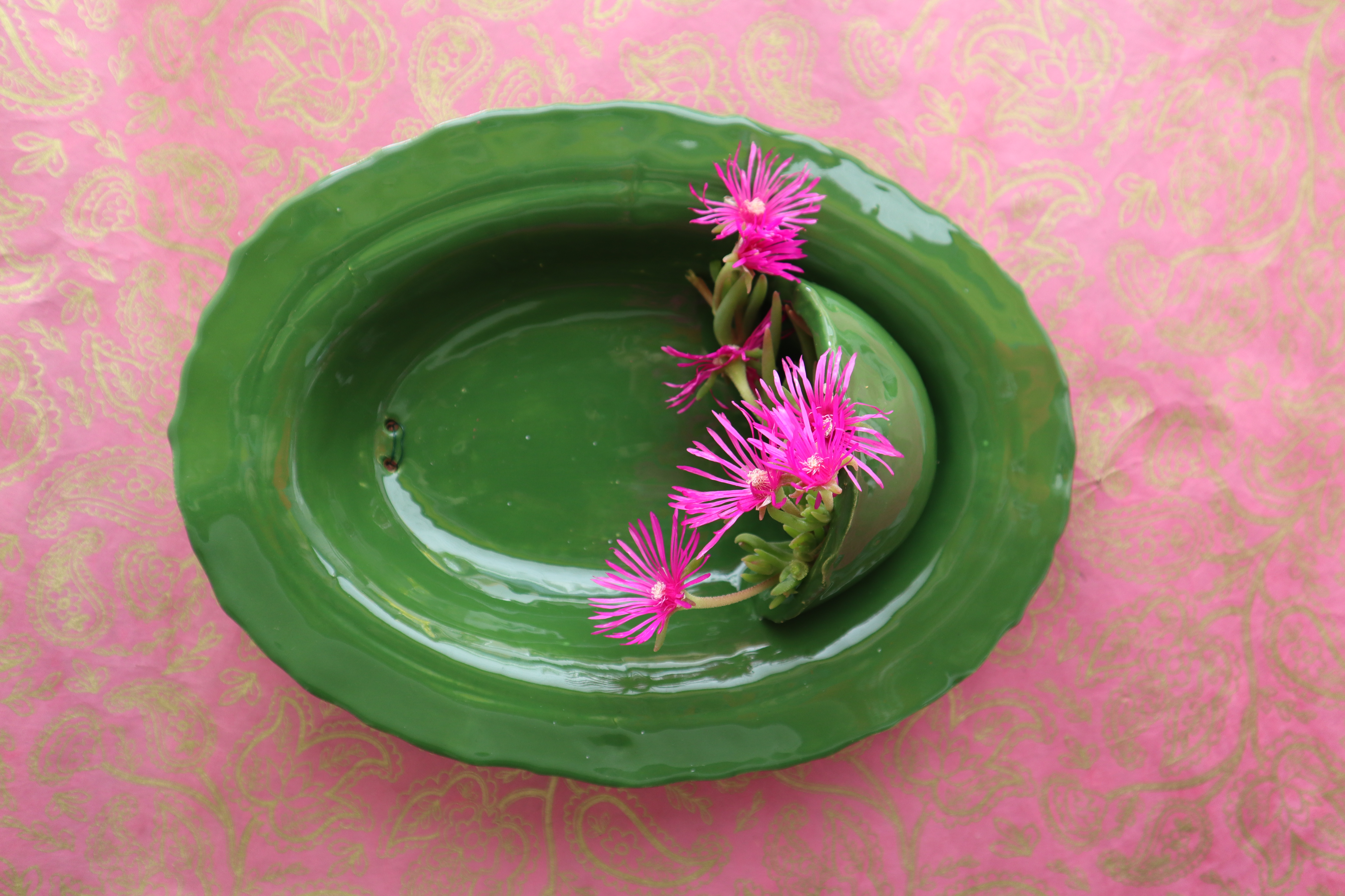 Groen wandbord voor waxine of plantje