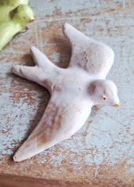Witte zwaluw met gouden snaveltje