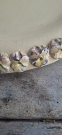 Taartbord met handbeschilderde bloemen rand