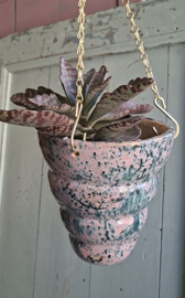 Roze groen spikkel plantenhanger