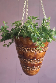 Bruine plantenhanger