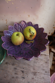 Prachtige spikkels paarse fruitschaal