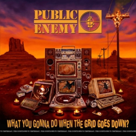 PUBLIC ENEMY WHAT YOU GONNA DO WHEN THE GRID GOES DOWN?