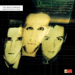 wild swans BRINGING HOME THE ASHES 3-4