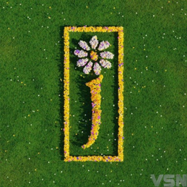 James - Nothing But Love: The Definitive Best Of James (5 LP) (Limited Edition)