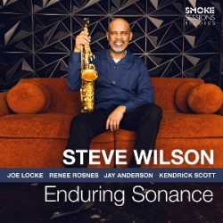 steve wilson ENDURING SONANCE 24-4