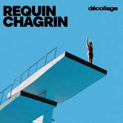 requin chagrin DECOLLAGE 27-3