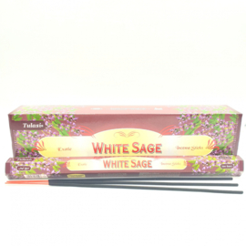 Tuin Wierook - Tulasi -  White Sage XL