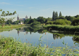 Tips om op te vrolijken in Den Bosch