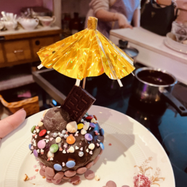 DIY Bossche Bol Maken