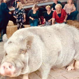 BBQ Buffet en Chocolade workshop