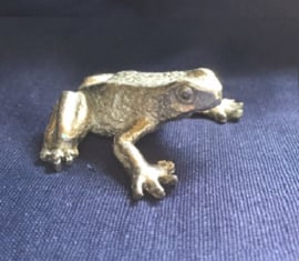 Kikker.