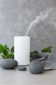 Aroma Diffuser - Klein