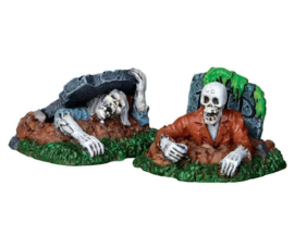 Zombies, Set Of 2