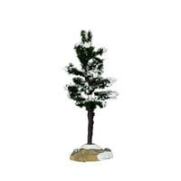 Conifer Tree, Small