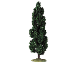 Hemlock Large