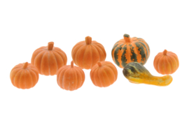 Pumpkins,  Set of 8