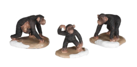 Chimpansee Familie, Set van 3