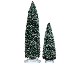 Snowy Juniper Tree, Large & Medium, Set Of 2