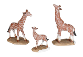 Giraffen Familie, Set van 3