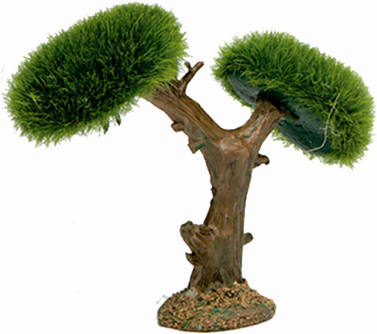 Double canopy tree