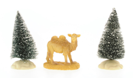 Camel, 5cm