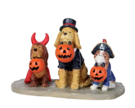 Trick Or Dog Treats