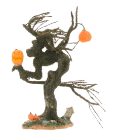 Witch Tree Pumpkins - Import United States