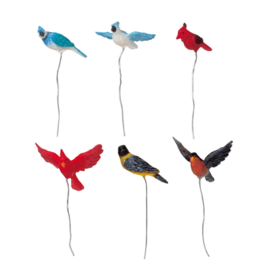 Assorted Birds, Set Of 6