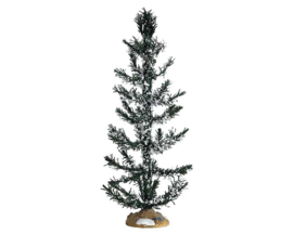 White Pine, Large