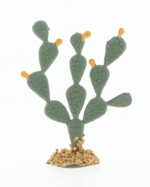 Prickly Pears